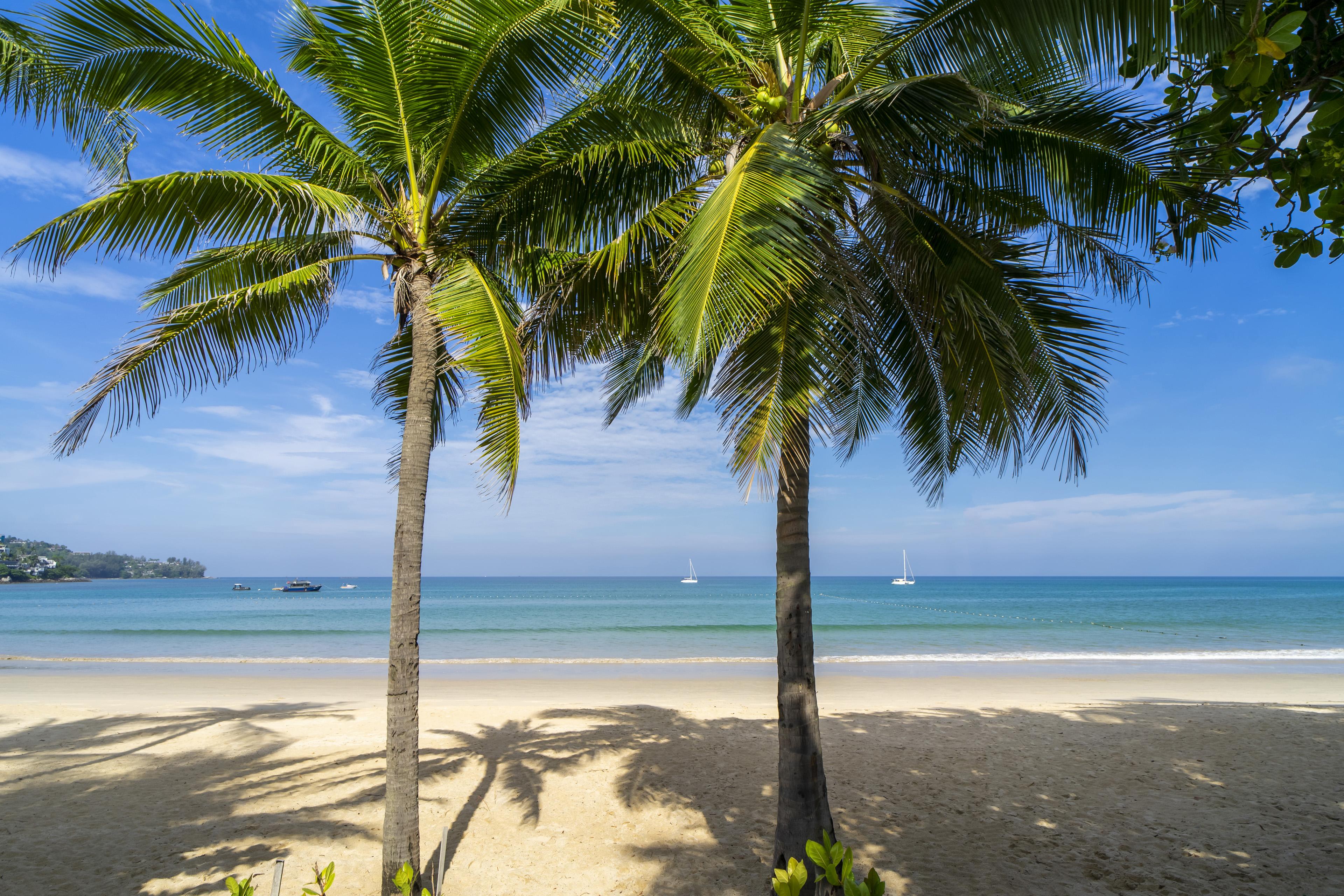 Sunprime Kamala Beach (Adults Only) Екстериор снимка