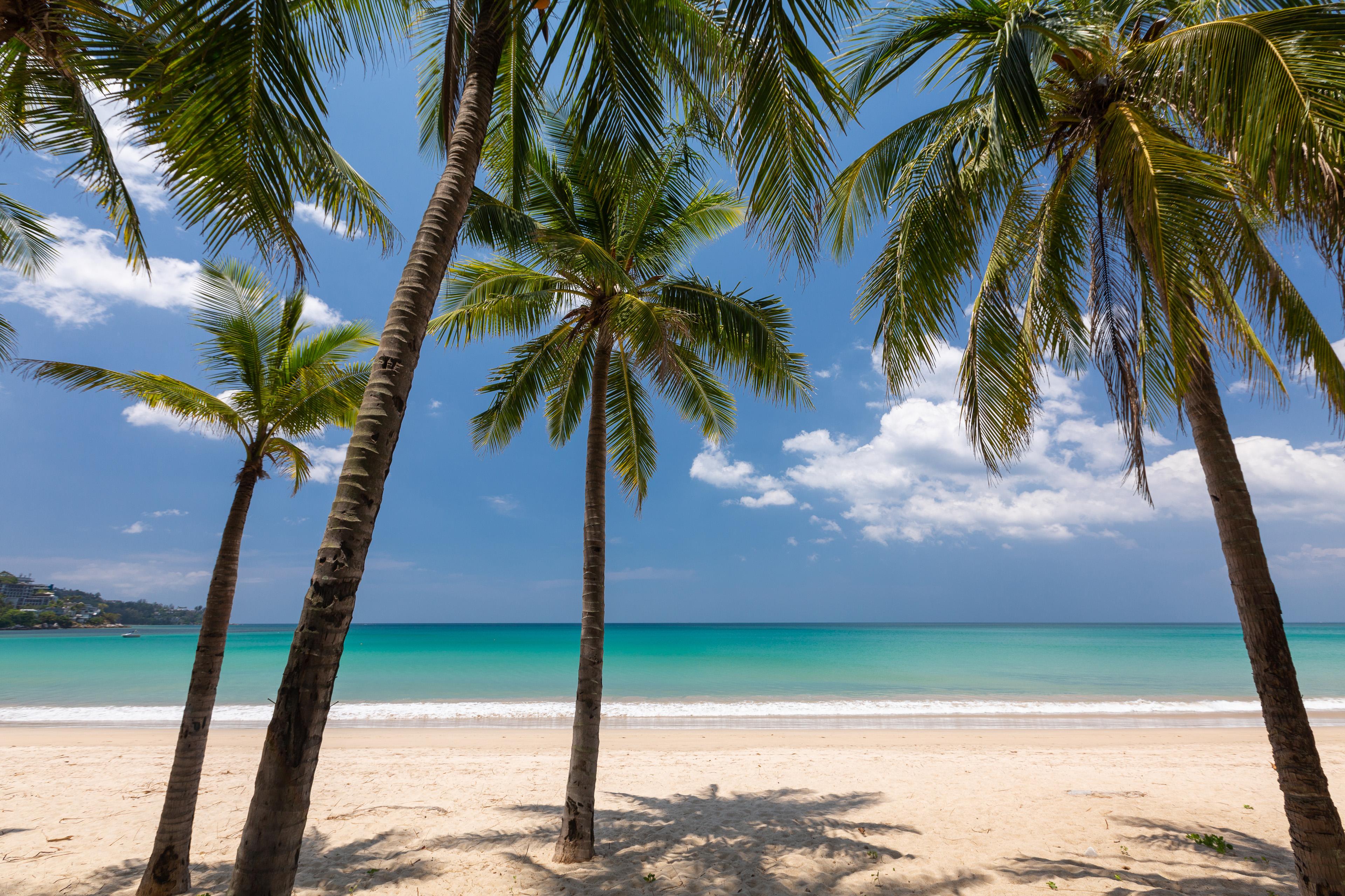 Sunprime Kamala Beach (Adults Only) Екстериор снимка